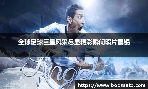 南宫相信品牌的力量官方网站